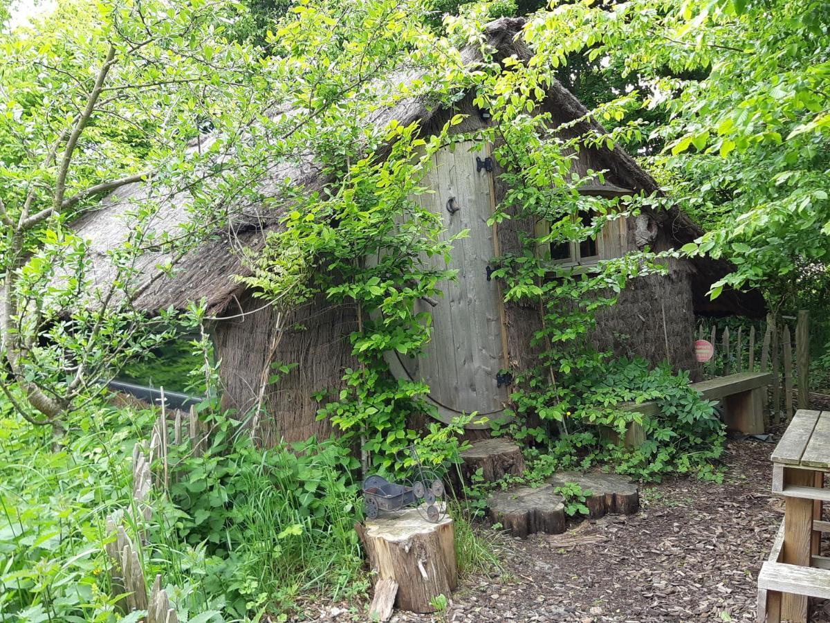 Cabane D'Augustin Saint-Augustin  Exterior photo